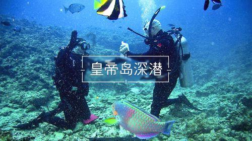 城步融媒体中心荣获四项殊荣