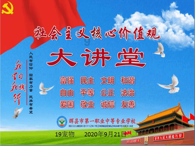 探索知识的蜗牛,知名演员王自健吐槽iPhone12mini,这部手机为何不被众人看好?问答平台
