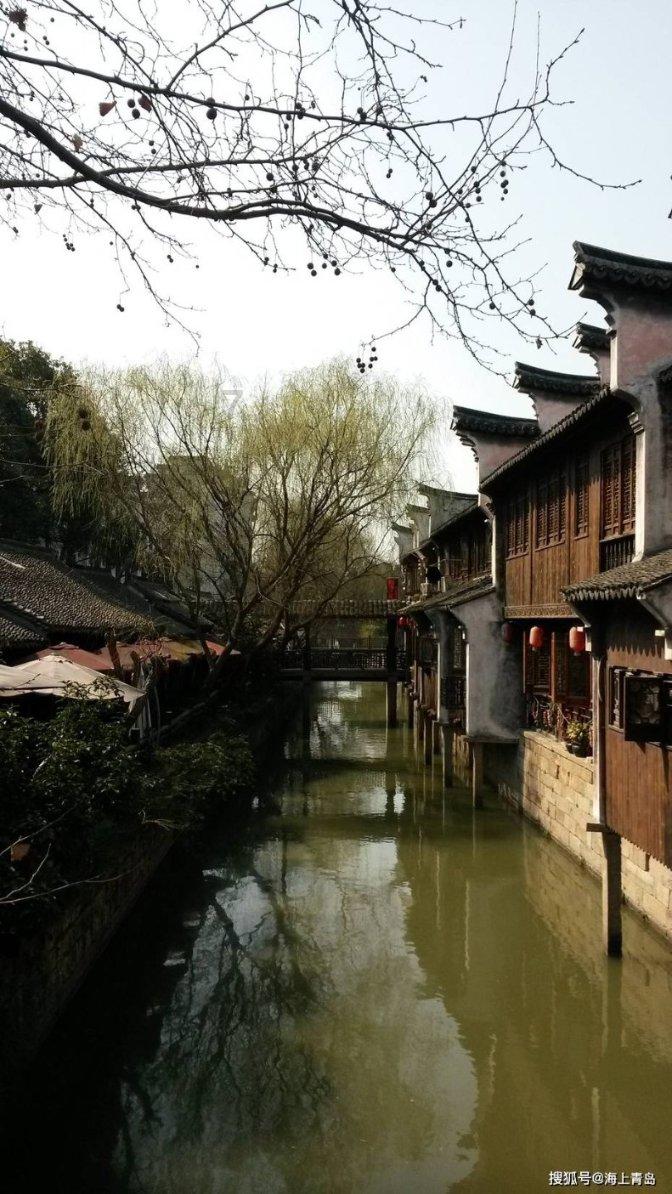 动物帮帮忙保卫家园