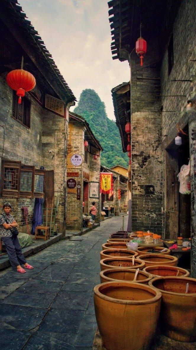 逃离变色龙森林