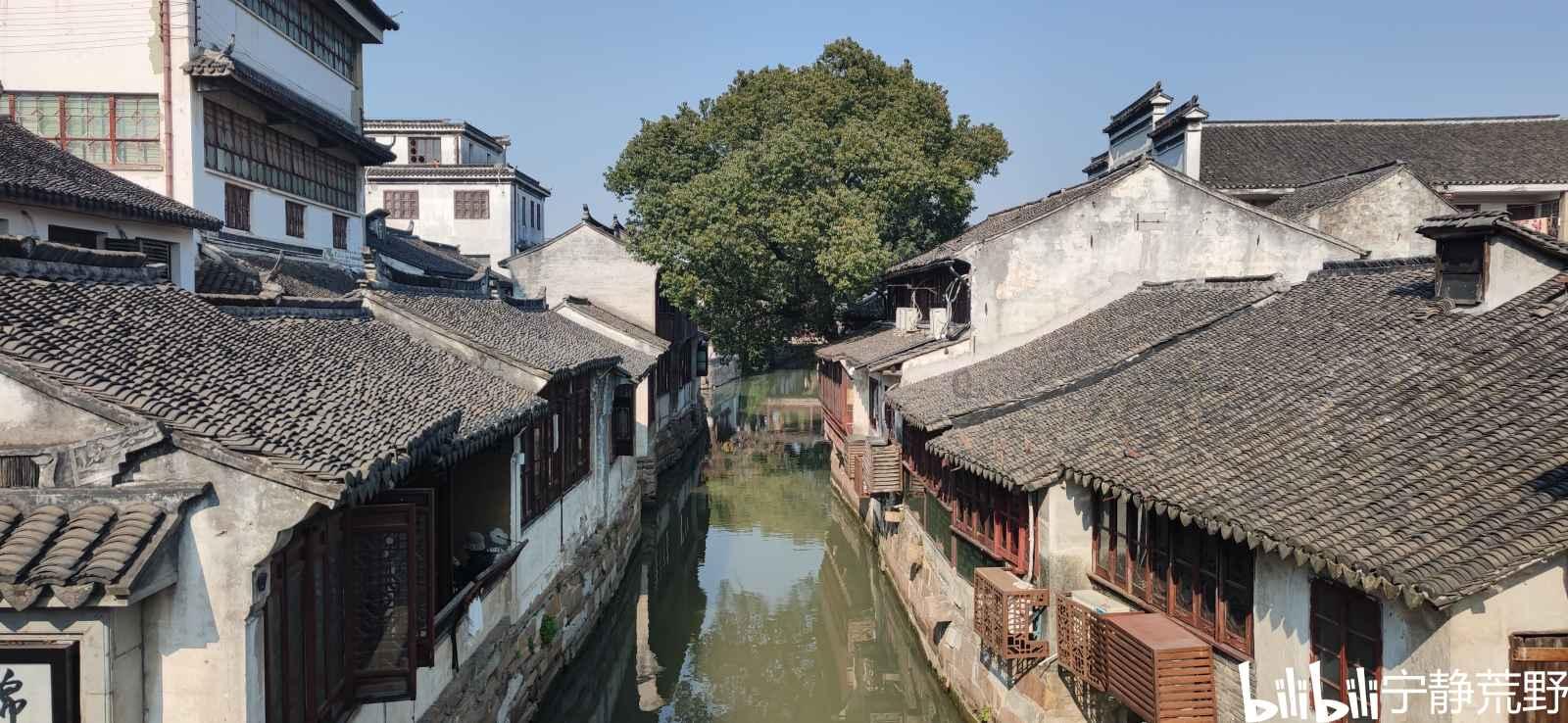 唯一的幸存者