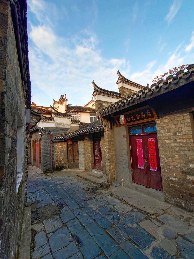 我修的可能是假仙